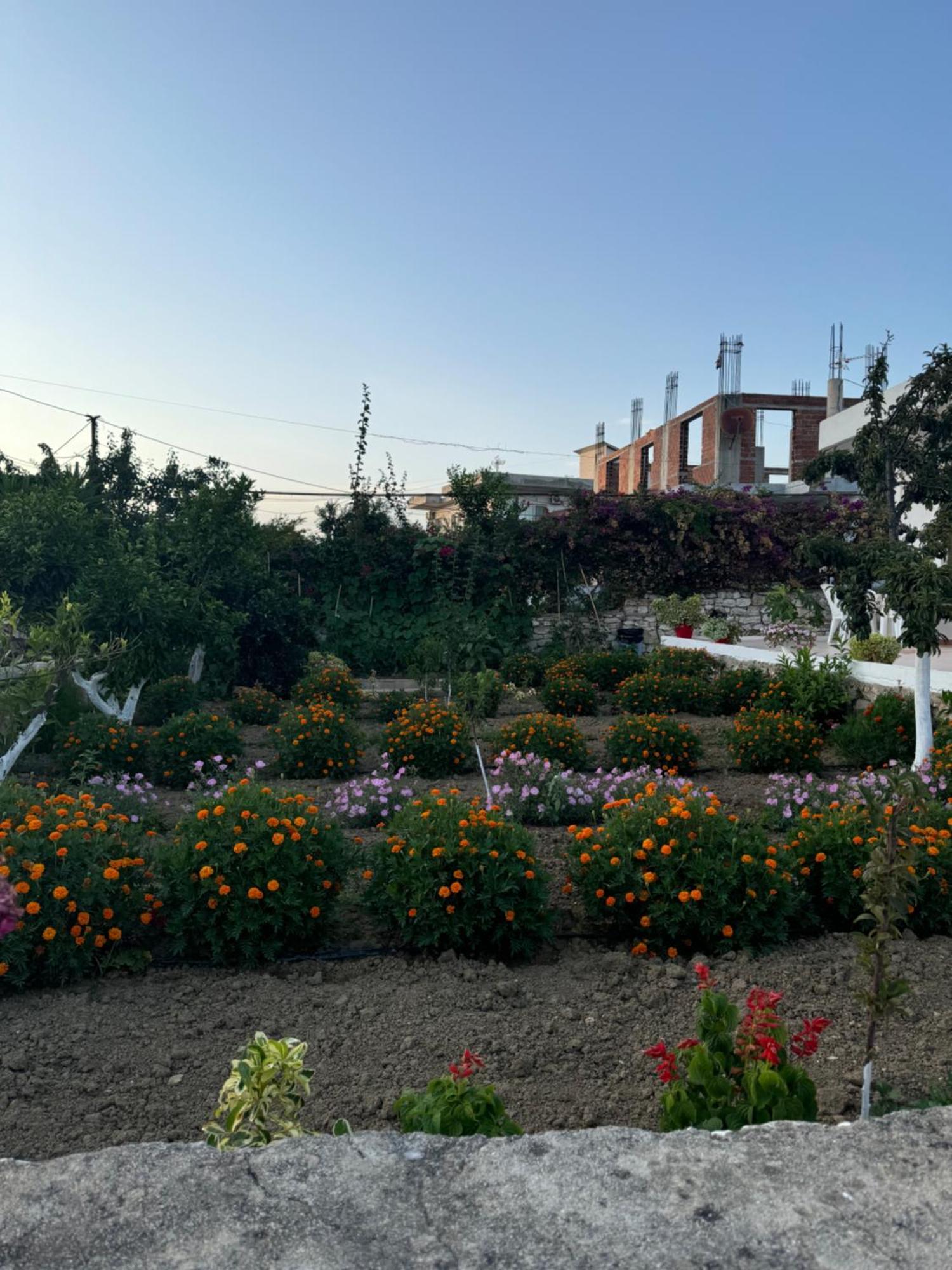 Teo Apartment ساراندا المظهر الخارجي الصورة